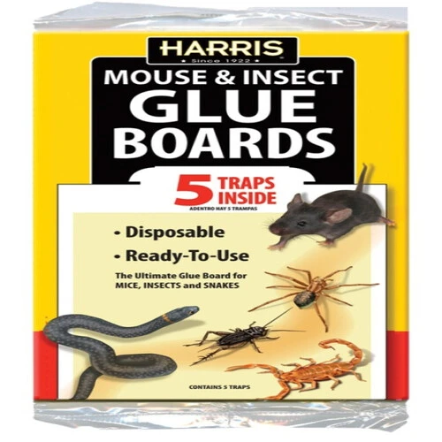 GB-5 BOARD GLUE 5PK
