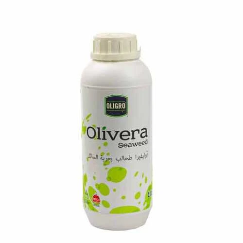 OLIVERA SEAWEED 1LTR