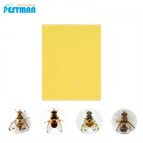 YELLOW STICKY TRAP 20*30CM